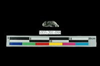 藏品(水晶)的圖片